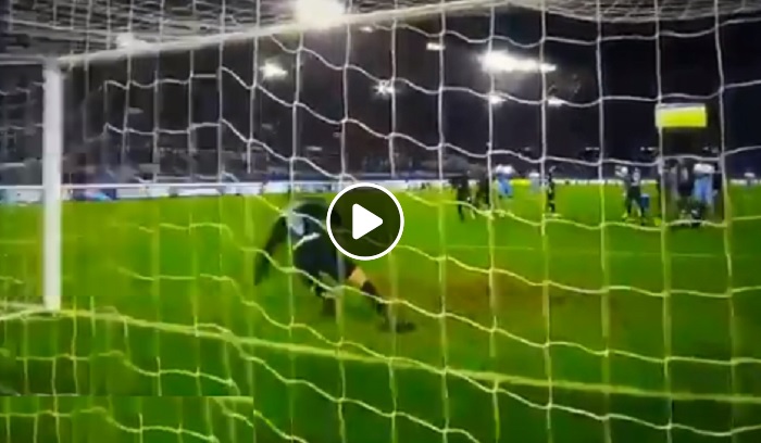 brozovic mossa coccodrillo