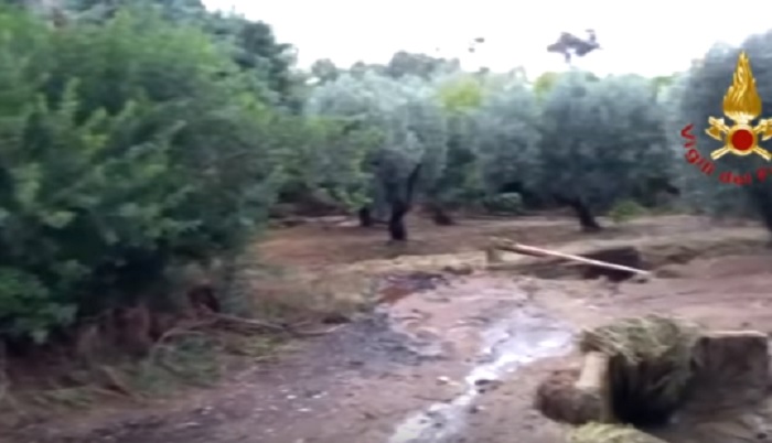 calabria ricerche bimbo 2 anni