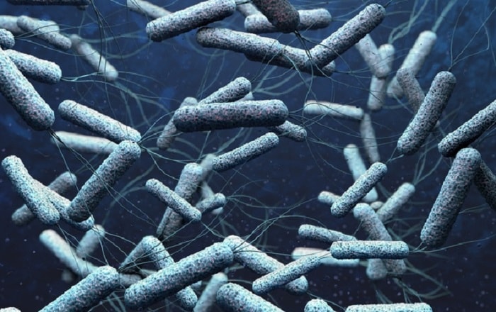 Napoli: allarme colera, in Italia mancava dal 2008. Ma l'hanno contratto in Bangladesh