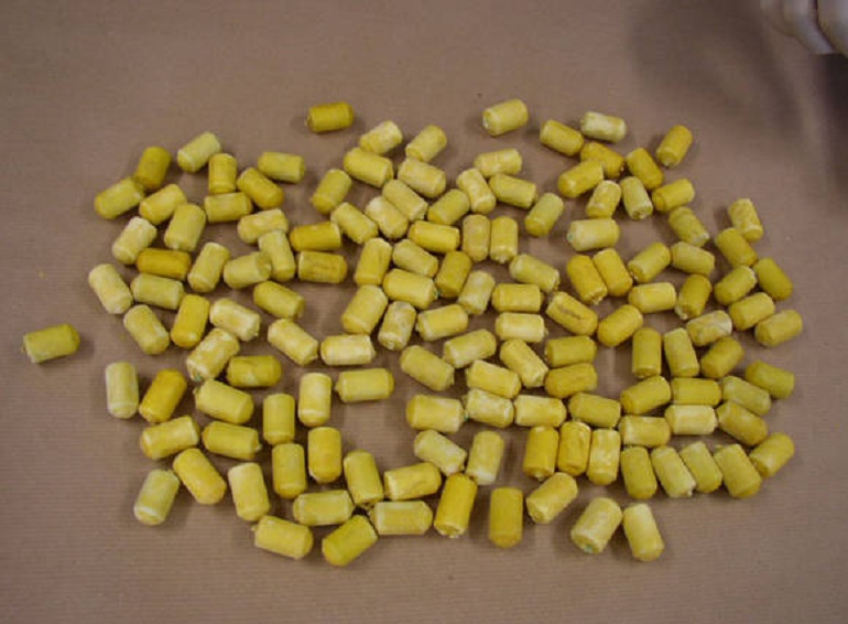 Fentanyl "cinese" è la principale causa di overdose da oppioidi negli Stati Uniti (foto d'archivio Ansa)