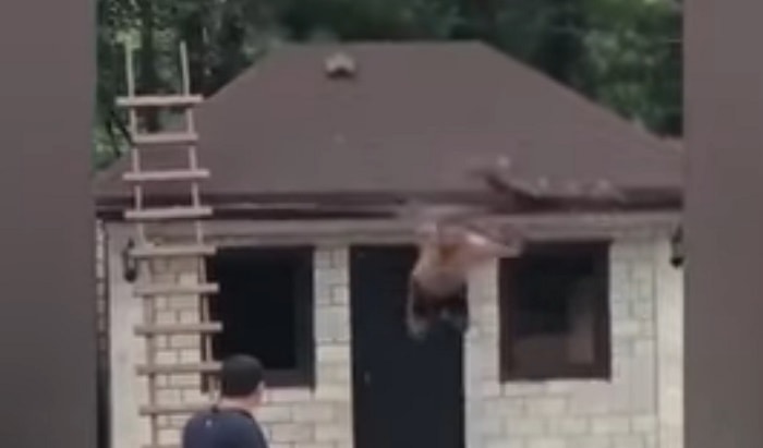 Armenia, lancio in piscina dal tetto di casa: qualcosa va storto