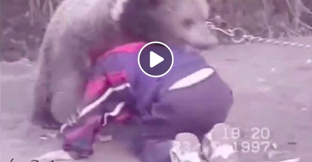 Khabib Nurmagomedov (VIDEO), da piccolo combatteva contro gli orsi