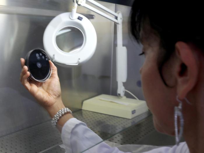 Legionella trovata in acciaieria ast Terni