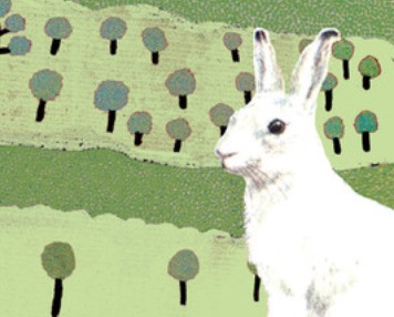 Arto Paasilinna è morto: addio allo scrittore finlandese de L'anno della lepre