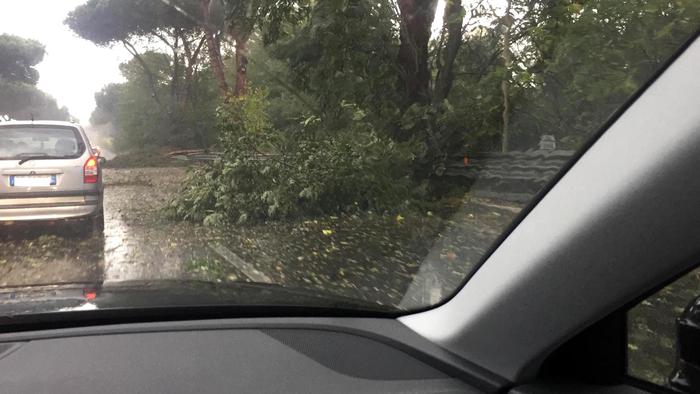 Maltempo, allerta rossa per Veneto e Friuli: frane e strade chiuse. A Roma cadono rami e tegole02