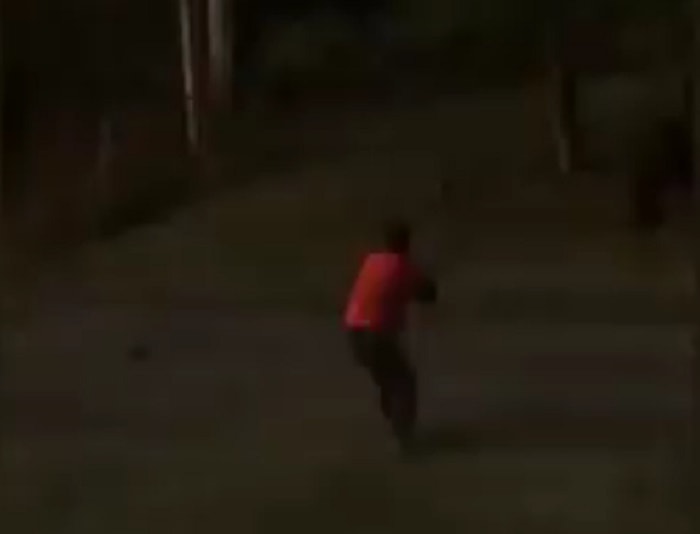 mamma orso giardino con i cuccioli