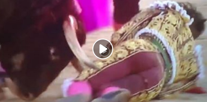 Madrid Saul Jimenez Fortes