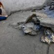 Pompei, 5 scheletri rifugiati in una stanza: trovati nella Casa dell'Iscrizione che ha cambiato la storia08