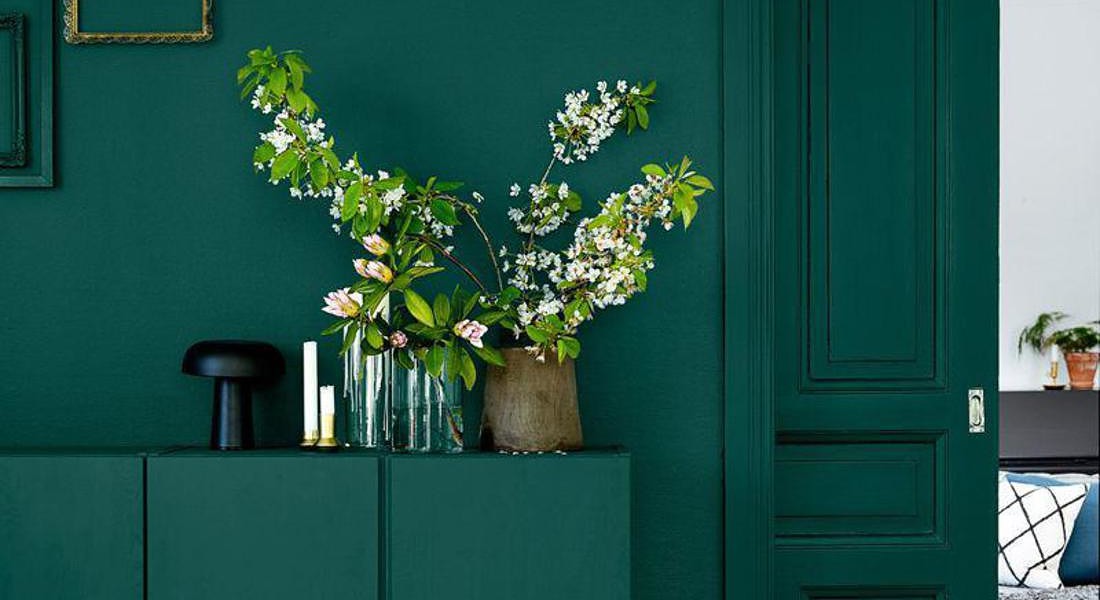 Piante secche e altre otto cose che è meglio non tenere in casa: portano sfortuna