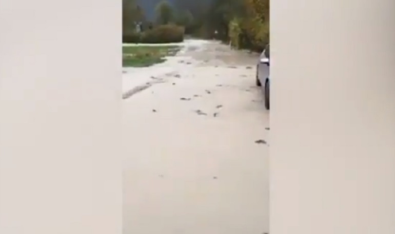 Maltempo Trentino, esonda il Brenta e i pesci nuotano per strada VIDEO