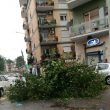 Piazza Scotti a Monteverde (Blitz Quotidiano)