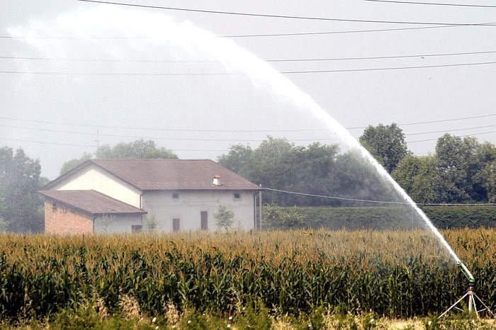 Terra dello Stato se fai il terzo figlio (solo coppie sposate): quanta, come e non conviene