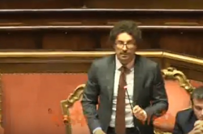 Toninelli al Senato