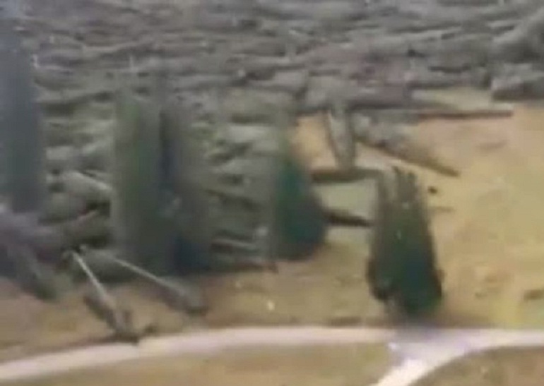 Asiago, dopo il maltempo arrivano anche gli sciamani: "Madre Terra è arrabbiata" (foto Ansa)