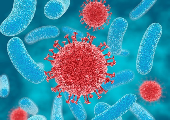 Batterio killer: attenti alla posta. Regione manda lettere sulle infezioni da Chimera