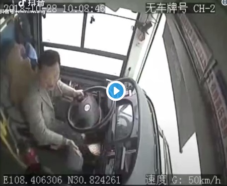 cina bus ponte