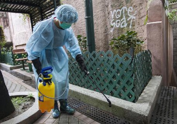 Disinfestazione ratti, blatte, formiche... cos'è e come funziona