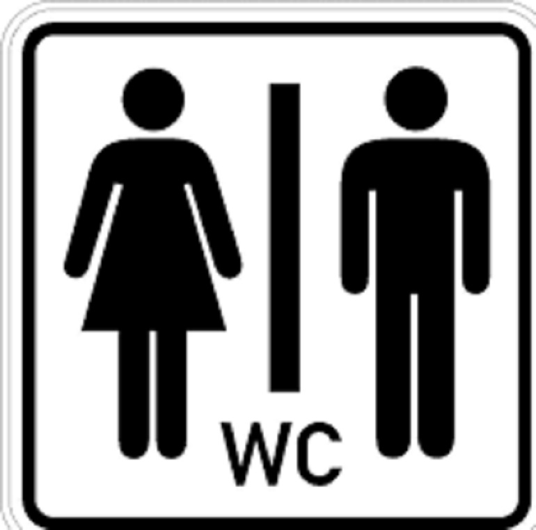 FitLoo, il water high tech per monitorare le urine: capterà i primi segnali di cancro e diabete