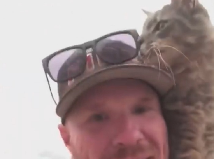 Incendio Califronia gatto spalla pompiere