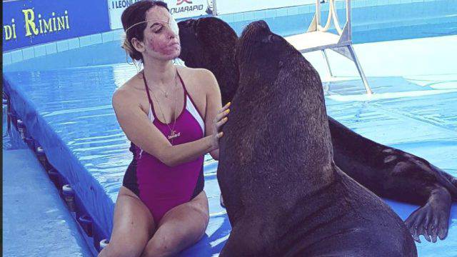 Gessica Notaro: a processo due degli anonimi haters animalisti ("Polifemo, meriti l'acido")