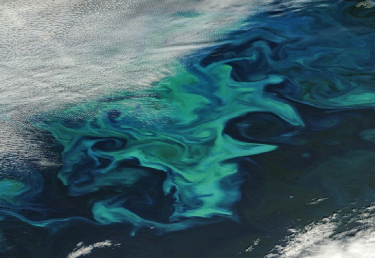 Cambiamenti climatici, la corrente oceanica dell'Atlantico si sta indebolendo (foto d'archivio Ansa)