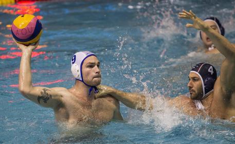 Pallanuoto, PRO RECCO- FERENCVAROS BUDAPEST: streaming e diretta tv, dove e quando vederla