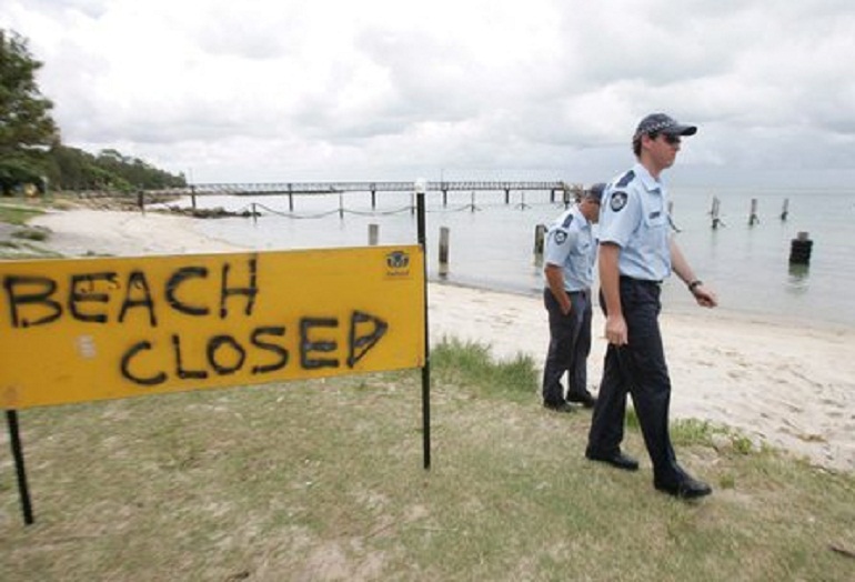 Australia, 33enne attaccato e ucciso da uno squalo a Cid Harbour (foto Ansa)