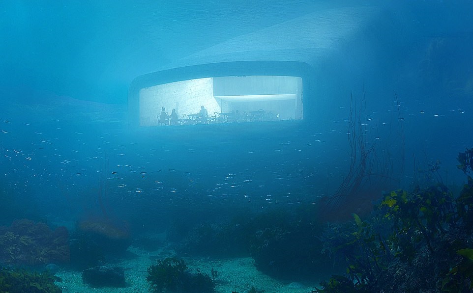 norvegia ristorante subacqueo