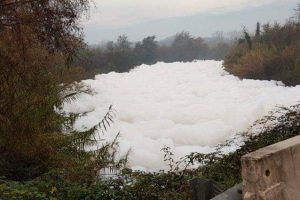 Fiume Sacco ricoperto di schiuma bianca4
