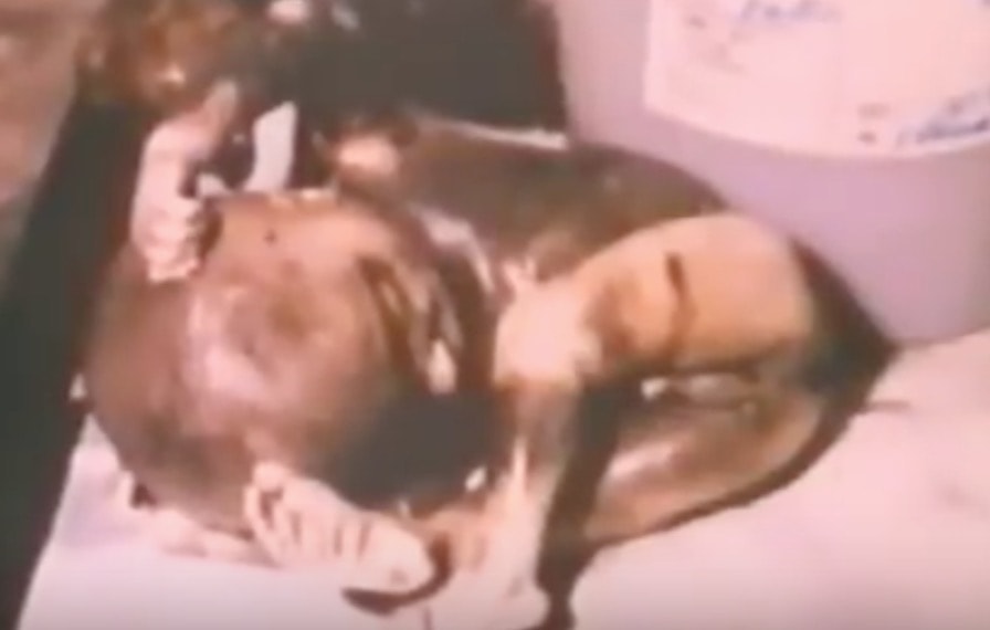 Monopoli, documentario antiaborto al liceo. Denuncia: "Film vietato ai minori proiettato a 14enni"