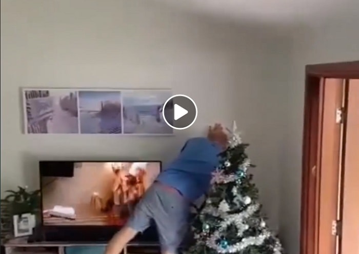 (Lo sgradito) regalo che si trova una famiglia sotto l'albero