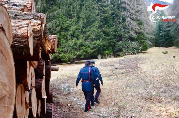 Boscaiolo, moldavo e a nero. Cavo gli spacca testa, ancora vivo gettato in un fosso. Italiani brava gente