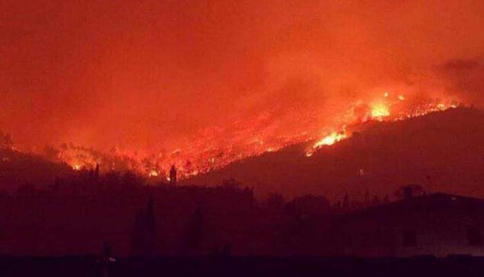 Monte Serra, arrestato il piromane dell'incendio...è un volontario dell'antincendio