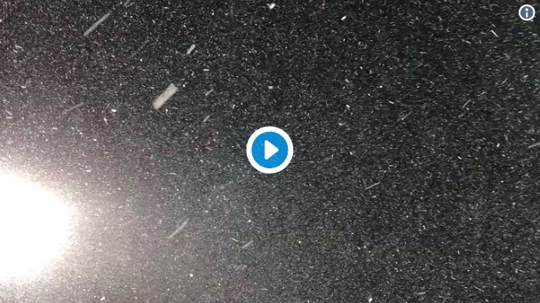 Champions League, Viktoria Plzeň-Roma si gioca sotto la neve FOTO