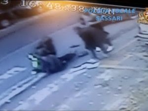 Sassari investe 80enne sulle strisce prima si ferma con la sua moto, poi scappa1