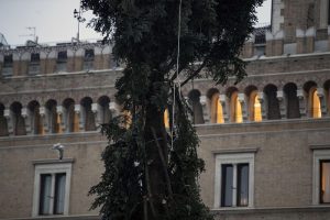 Roma, arriva il nuovo "Spelacchio": l'albero ha qualche ramo spezzato 2