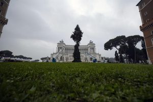 Roma, arriva il nuovo "Spelacchio": l'albero ha qualche ramo spezzato 3