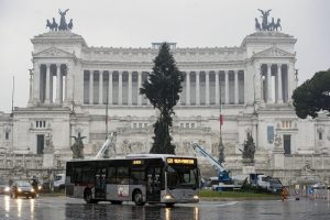 Roma, arriva il nuovo "Spelacchio": l'albero ha qualche ramo spezzato 9