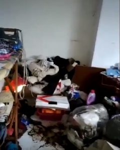 Filogaso (Vibo Valentia), costretta ad 11 anni a vivere tra i rifiuti3