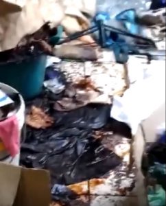 Filogaso (Vibo Valentia), costretta ad 11 anni a vivere tra i rifiuti2