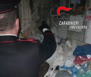 Filogaso (Vibo Valentia), costretta ad 11 anni a vivere tra i rifiuti6