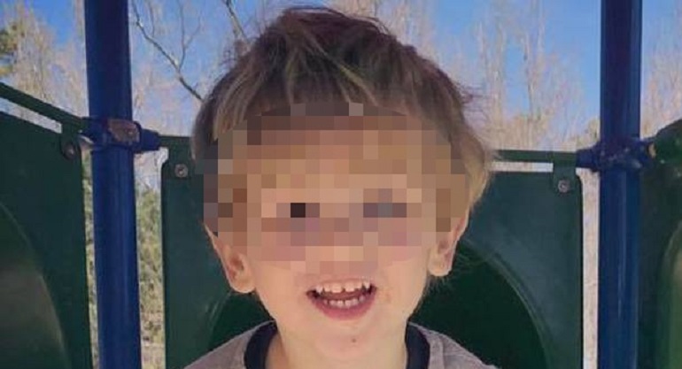 Usa, bimbo di 3 anni sopravvive nel bosco. Poi ai soccorritori racconta: "Un orso mi ha aiutato"