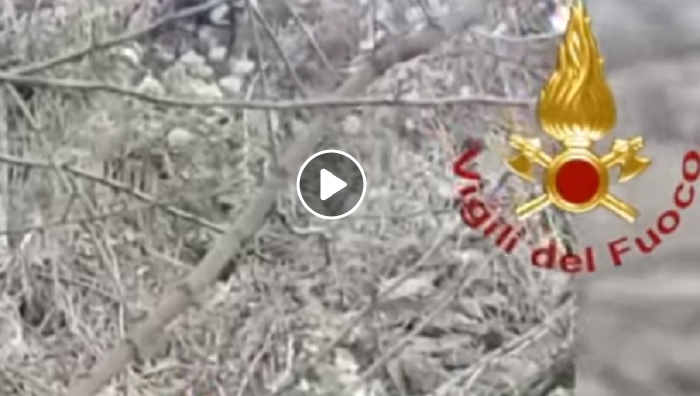 San Romano in Garfagnana (Lucca): Vigili del fuoco salvano cagnetta su dirupo