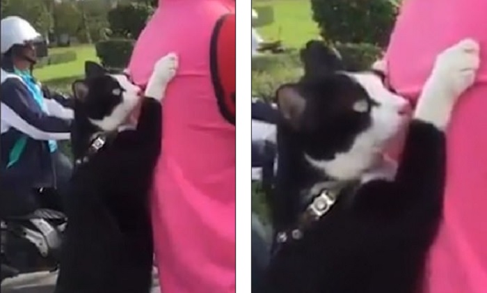 gtto viaggia in moto