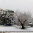 Meteo: Genova, arriva la neve. Toti: "Disagi solo nella zona collinare"