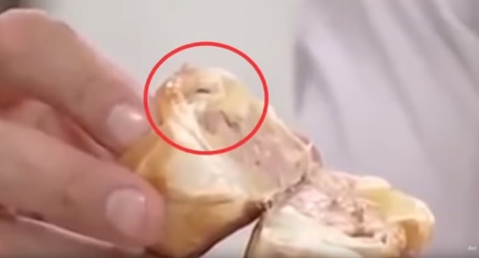 Argentina cuoco empanada