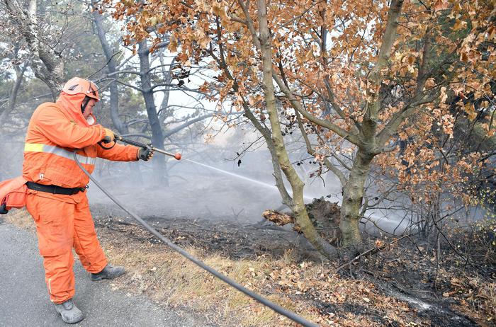 Monte Musinè, incendio nella notte in Val di Susa: la puzza di bruciato si sente fino a Torino