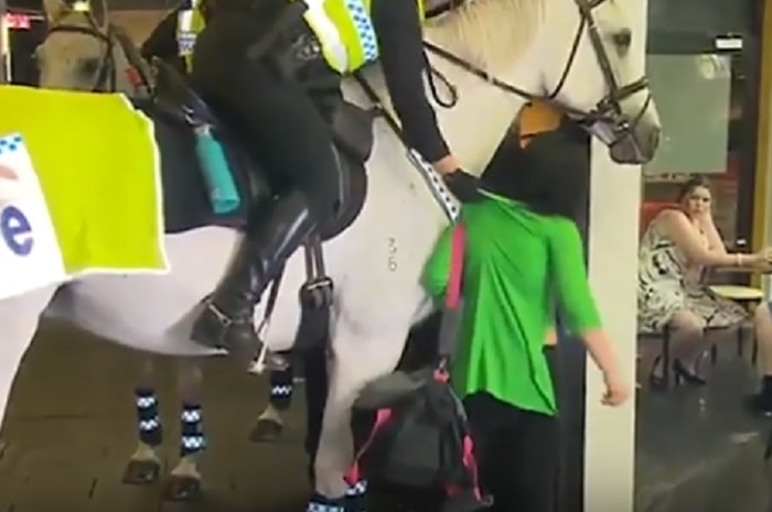 Australia pugno cavallo polizia