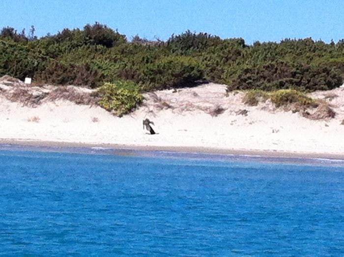 Sardegna, spiagge di Capo Teulada e Porto Tramatzu tornano ai turisti: via l'esercito
