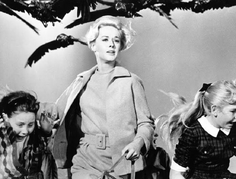 Rimini, stormi di uccelli "impazziti" contro auto e case. Un testimone: "Il mio parabrezza era pieno di sangue e piume". Nella foto una celebre scena del film "Gli Uccelli"